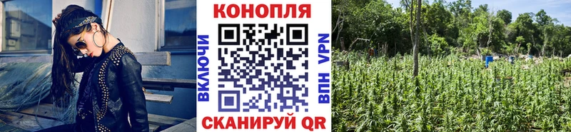 Все наркотики Рудня Бошки Шишки Alpha-PVP ГАШИШ Амфетамин Кокаин Бутират Меф