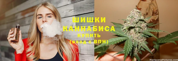 эйфоретик Арсеньев