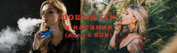 эйфоретик Арсеньев