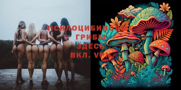 винт Аркадак