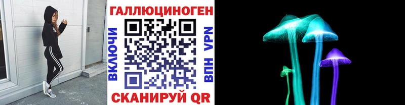 Галлюциногенные грибы Magic Shrooms  где купить   Рудня 